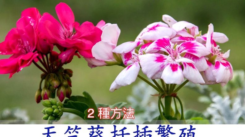 携程积分兑换花积分省钱攻略
