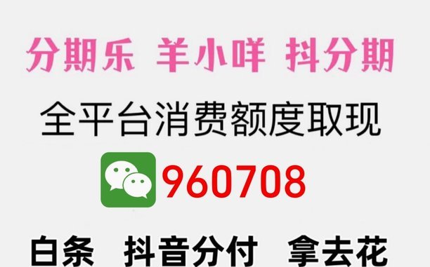 羊小咩消费额度怎么提