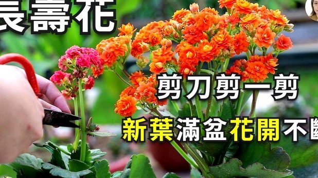 花费套现的风险与合规指南