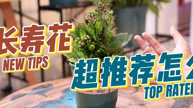 花费怎么套现