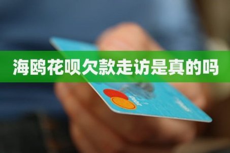 海鸥网贷平台：稳健运营下的差异化服务