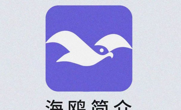 海鸥花呗平台：真的要来了吗？