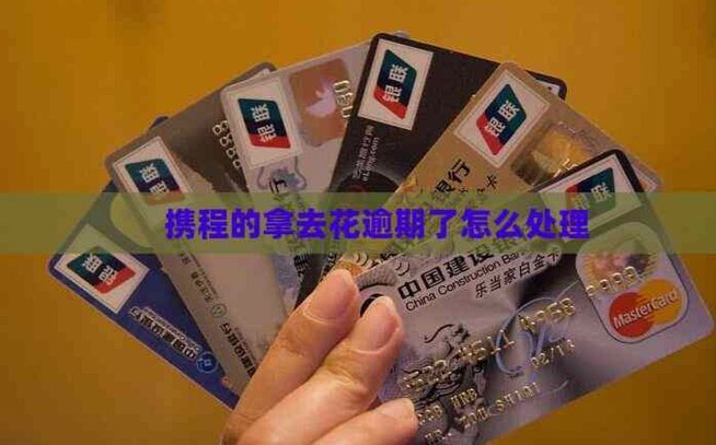 携程旅游拿去花怎么用