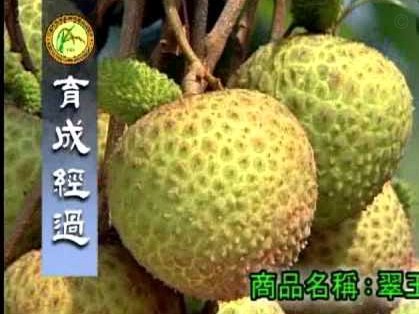便荔卡提现被拒：数字金融的风险与信任