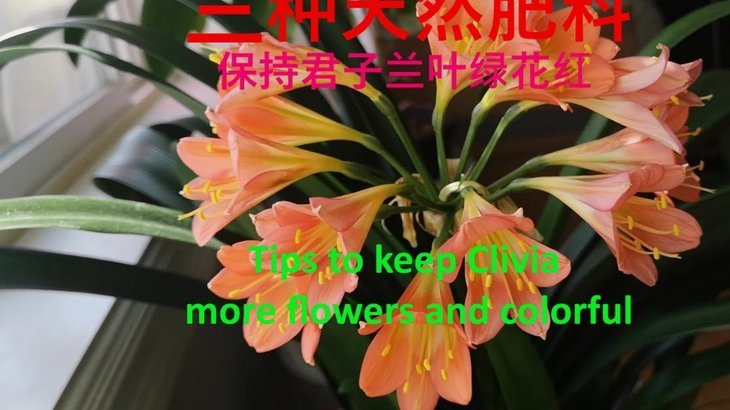 天猫花呗付款还款全攻略