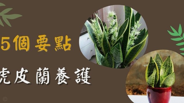花呗套现风险大怎么办？