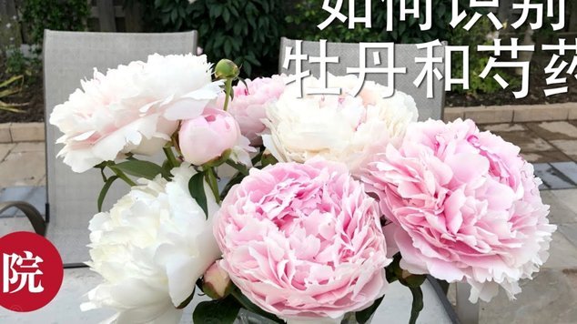 花呗问题？冷静处理指南
