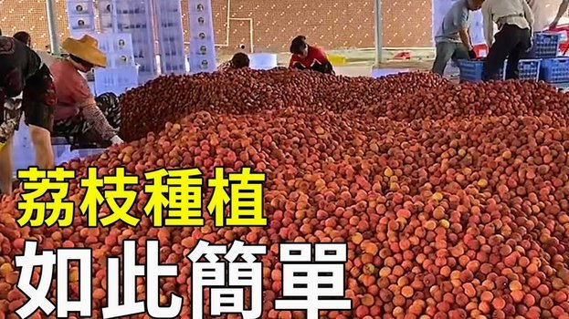 便荔卡包额度怎么提现