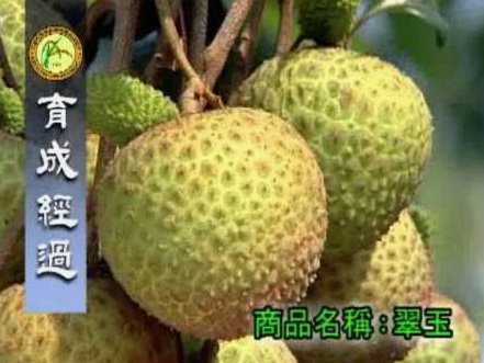 便荔卡包额度怎么提现