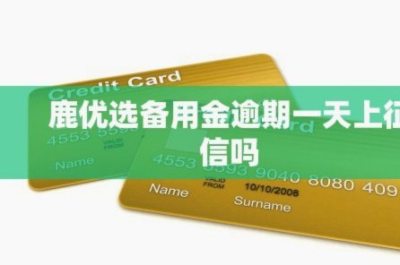鹿优选靠谱吗？这篇报告告诉你！