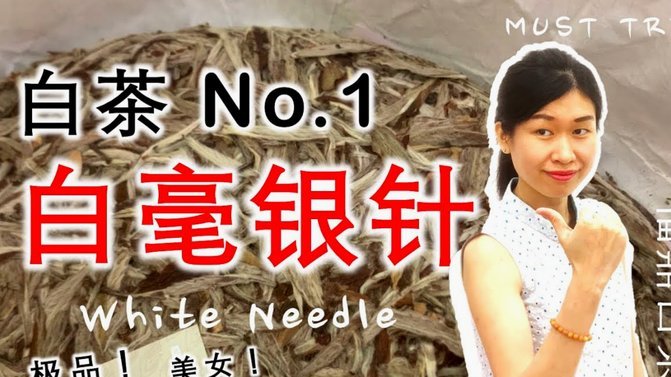 白条背后的信用机制：如何安全地借到钱
