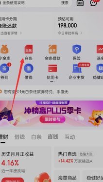 白条额度提问：商家攻略全揭秘
