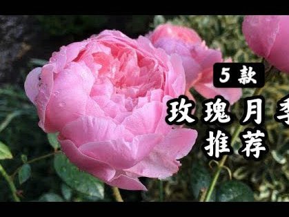 拿去花怎么能提现