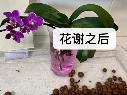 警惕