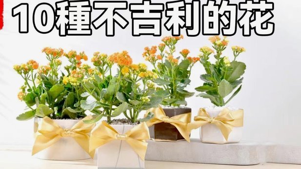 花呗套现：误解与风险揭秘
