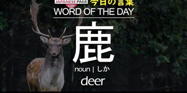 鹿优选先享卡额度能提现吗