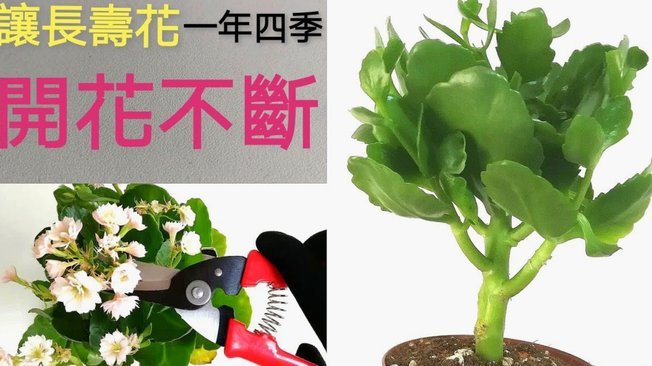 安逸花贷款一直失败？这几招帮你顺利拿到钱