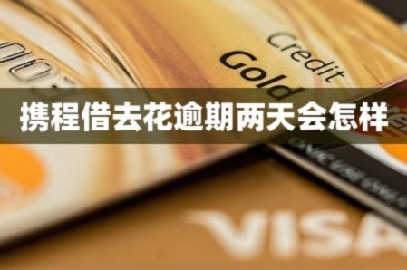 携程拿去花借现金
