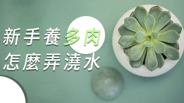 携程通疗养费套现方法