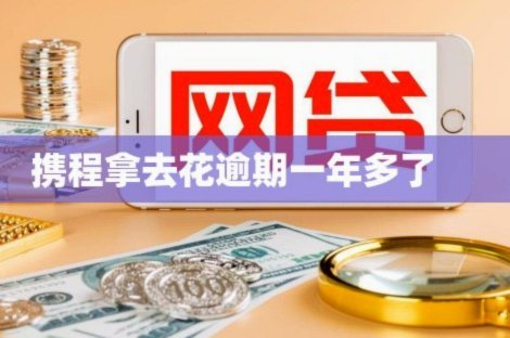 携程拿去花关闭了怎么开通