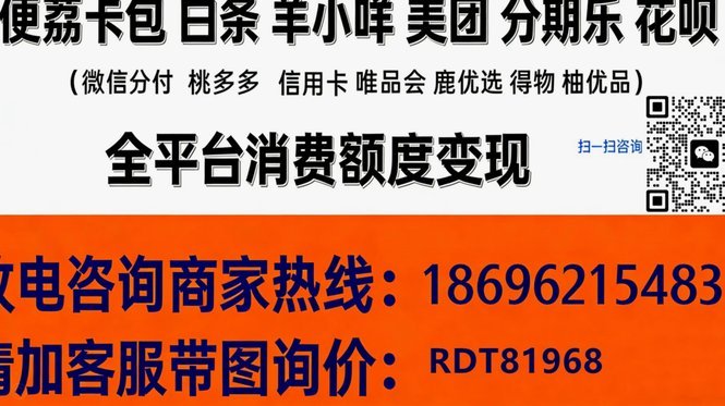 羊小咩消费额度动态精准