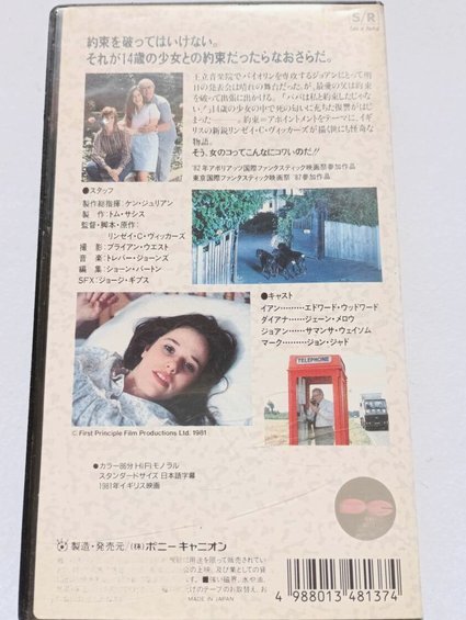 小羊羔市场动态：多少钱一只？