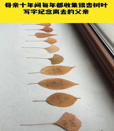 母亲的遗物怎么处理