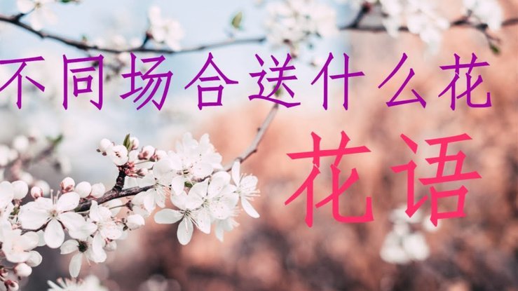 花呗套现给他人：信用受损风险有多大？