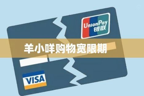 羊小咩购物额度怎么分期