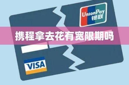 携程拿去花背后的商业价值密码