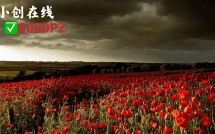 dou分期24小时套现商家