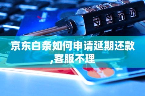 白条延期还款全攻略：如何申请及注意事项？