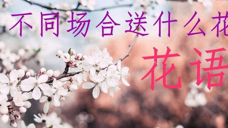 信用支付的新模式