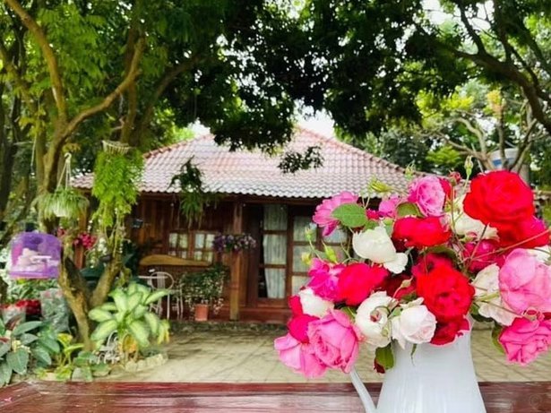 花呗是什么贷款平台