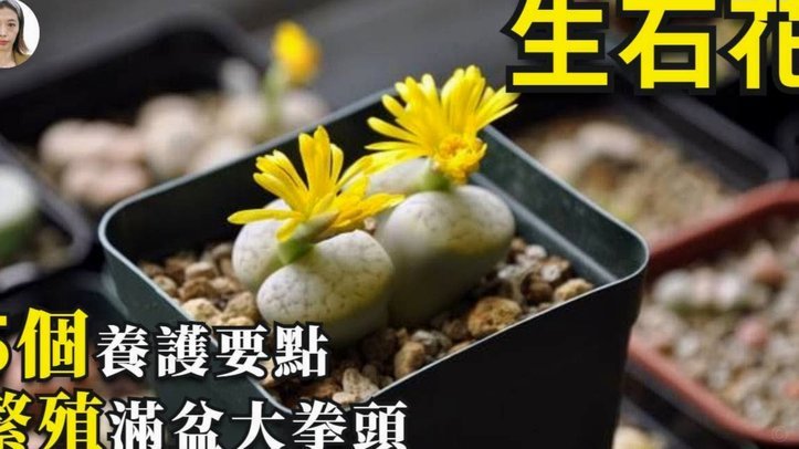 携程拿去花怎么取现