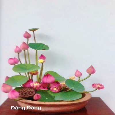 花呗取现平台合规挑战
