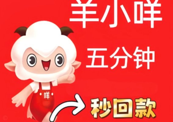 羊小咩提现：网络自嘲与反思
