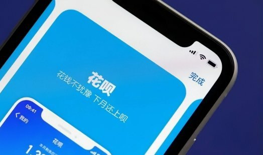 套花呗什么后果最严重