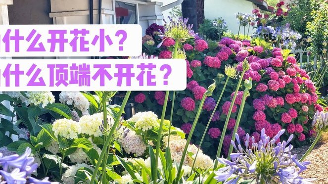 花呗套花呗 平台会知道吗