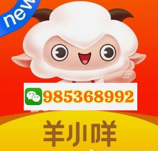 羊小咩额度申请详解：掌握行为积累与活动解锁路径