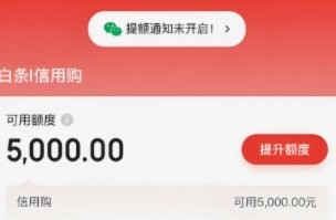 白条有取现额度但取现失败