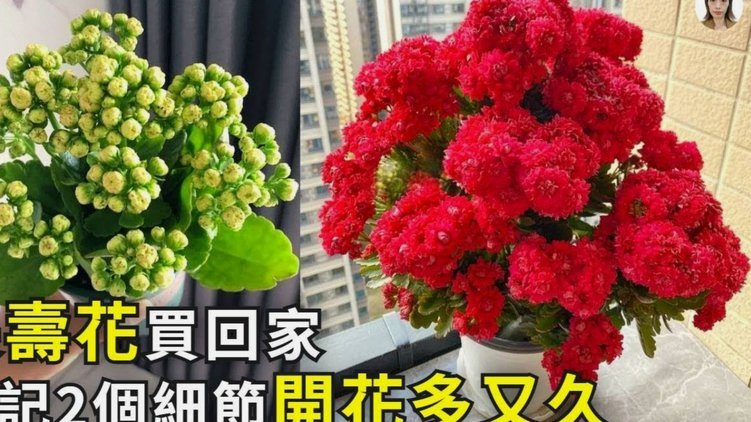 花呗多久能恢复使用