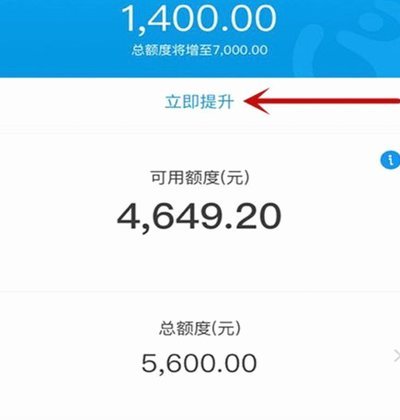怎么提花呗的钱额度
