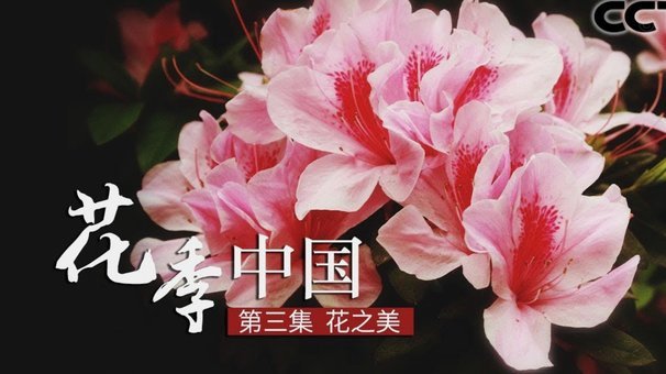 三种便捷方式详解